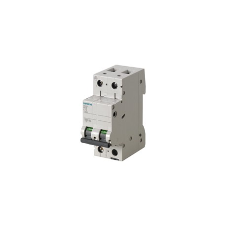 PASTILLA INTERRUPTOR PARA RIEL DIN 5SL 2X25A 6KA 250/440V