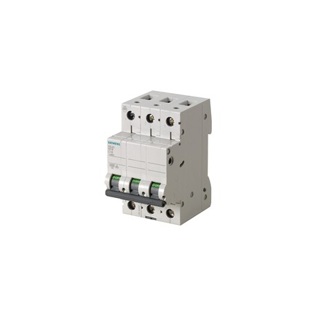 PASTILLA INTERRUPTOR PARA RIEL DIN 5SL 3X4A 6KA 250/440V