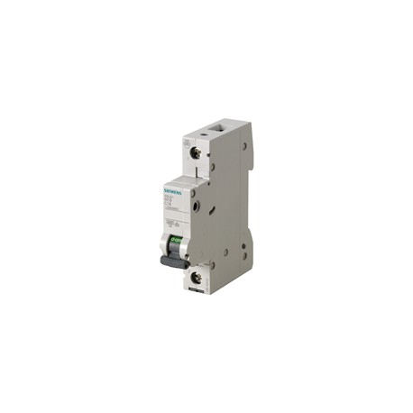 PASTILLA INTERRUPTOR PARA RIEL DIN 5SL 1X2A 6KA 250/440V