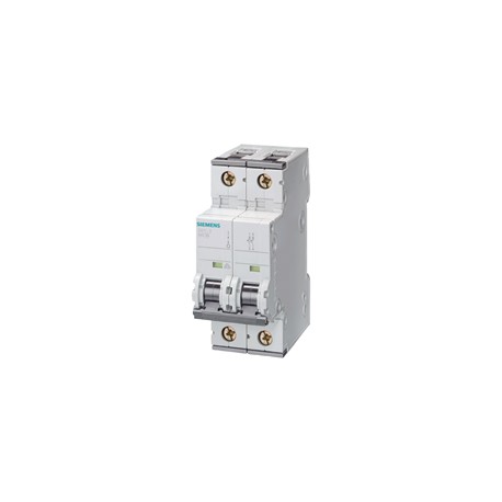 PASTILLA INTERRUPTOR PARA RIEL DIN 5SY 2X1A 6KA 230/440V