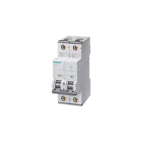 PASTILLA INTERRUPTOR PARA RIEL DIN 5SY 2X10A 6KA 230/440V