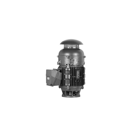 MOTOR VFH 100 HP TRIFASICO 230/460V 1800 RPM ARMAZON 405TP 1PC2825-4QB21-6TA4-Z D05